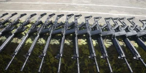 recadastramento de armas