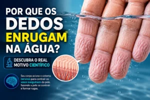 DEDOS ENRRUGAM WWW.DIGITABAHIA.COM .BR