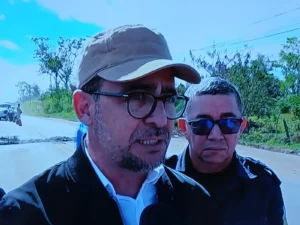 animais em vias públicas