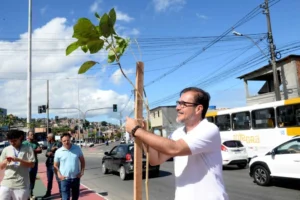 Arborização urbana