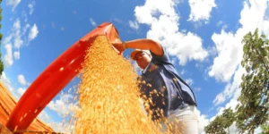 Atividade econômica
