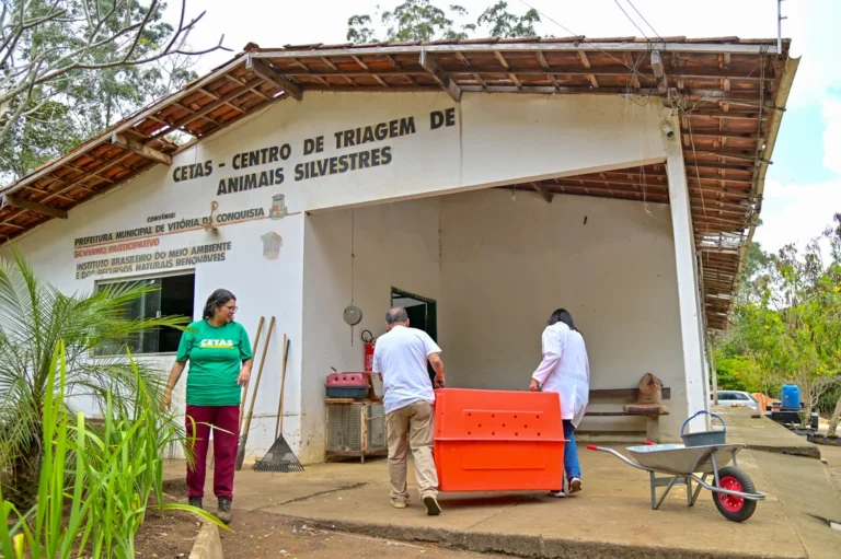 Caça ilegal na Bahia: apreensão de animais silvestres gera alerta