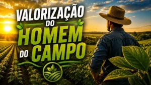 campo serra do ramalho