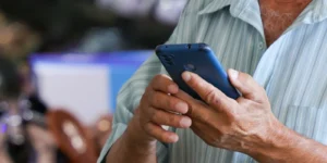 apostas online