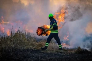 combate a incêndios florestais