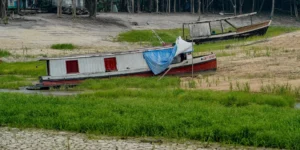 COP17 Desertificação
