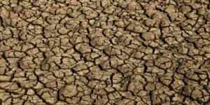 desertificação no Brasil