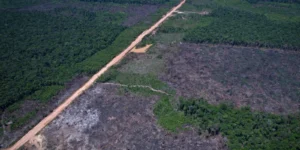 desmatamento na Amazônia