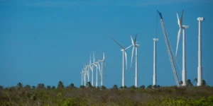 Economia verde Nordeste