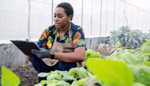 empreendedorismo feminino no campo