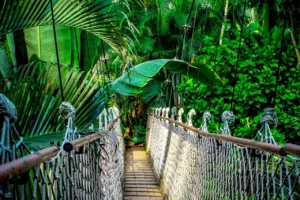 desmatamento na Amazônia