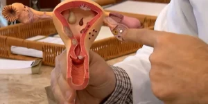 pesquisas sobre endometriose