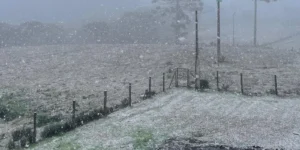 Situação de emergência