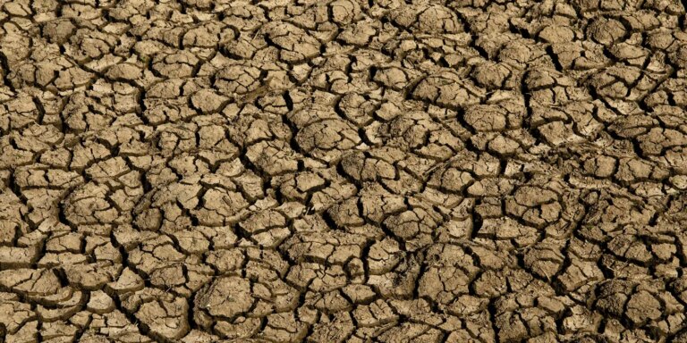 Super El Niño ameaça o Brasil com eventos extremos e seca severa