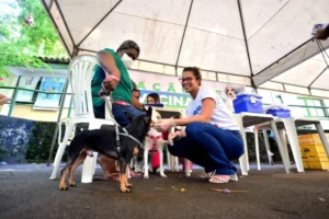 Vacinação antirrábica