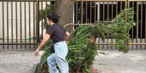 ventos fortes no Rio