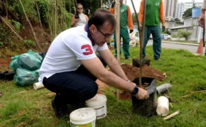 arborização urbana em Salvador