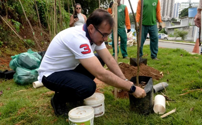 Vila Laura ganha 30 novas árvores em esforço de arborização urbana em Salvador