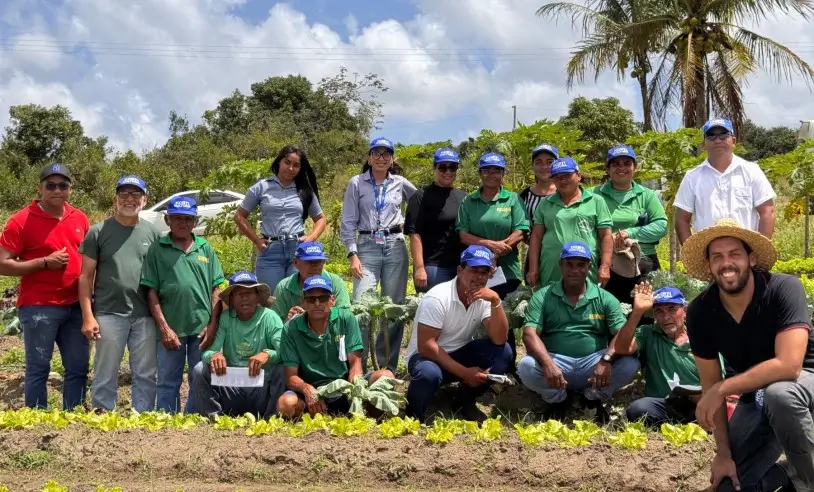 agricultura orgânica