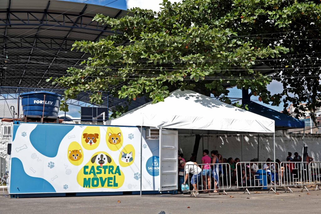Castramóvel Salvador