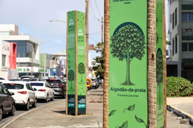 Prefeitura intensifica cuidados no Corredor Verde da Pituba