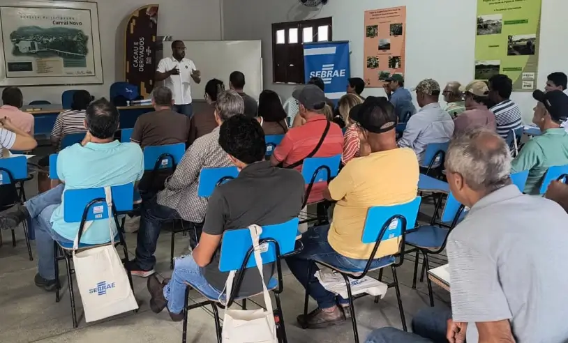 Escola do Cacau Sudoeste baiano