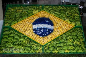 Expo Teixeira