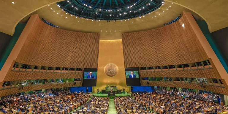 Assembleia Geral da ONU