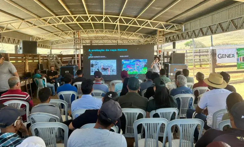 pecuária leiteira Alto Sertão Produtivo