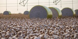 produção agrícola