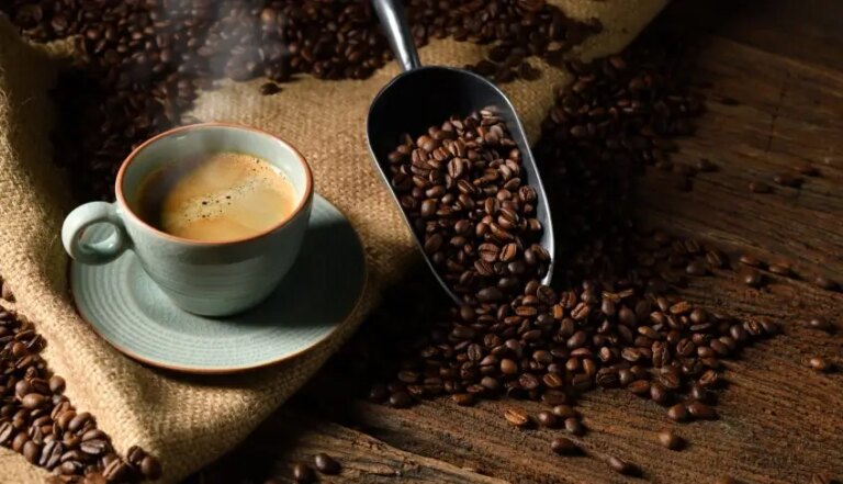 Café de Jaguarari vence o Concurso de Cafés do Nordeste 2026