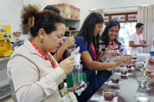 Cafés Especiais