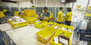 entregas no Brasil
