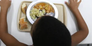 crise alimentar