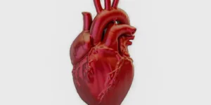 doenças cardiovasculares