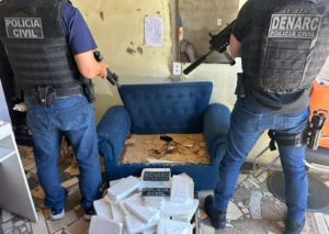 Operação Purus