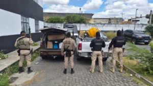 organização criminosa