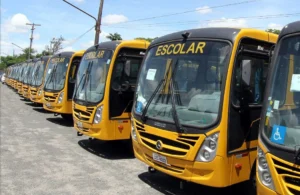 transporte escolar